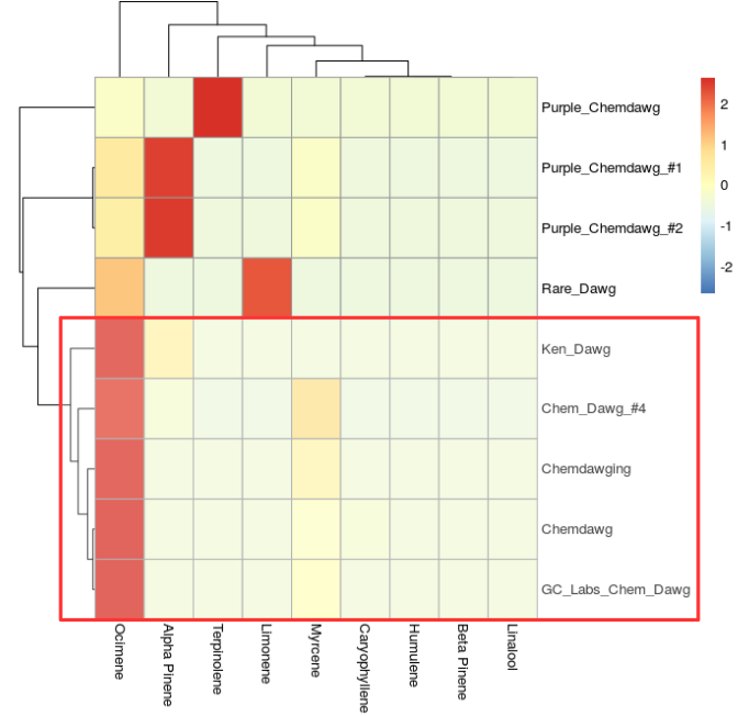 More Than Just Taste and Smell: Examining the Complexity and Diversity of Terpene Profiles from Popular
Cannabis Strains